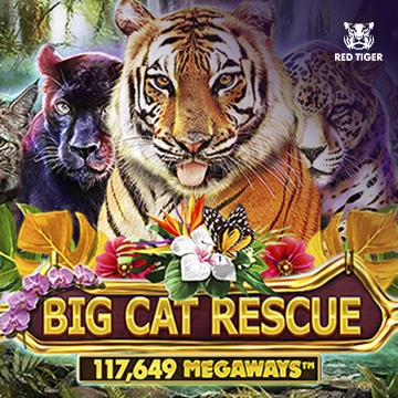 Redtiger : Big Cat Rescue Megaways - TURBOBET168