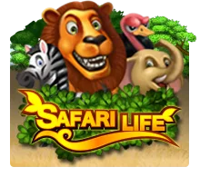 Joker123 : Safari Life - TURBOBET168