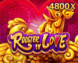 JDB : Rooster In Love - TURBOBET168