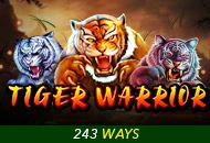 Spadegaming : Tiger Warrior - TURBOBET168